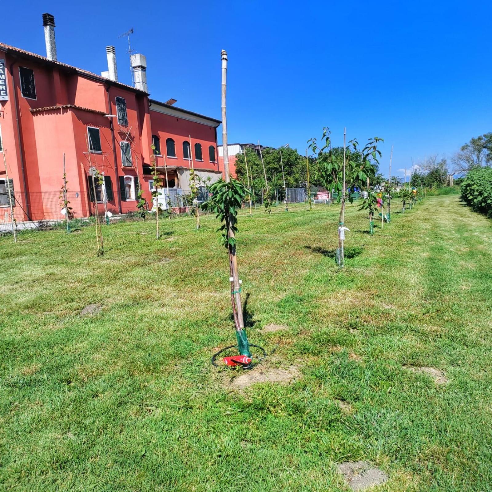 Gasthaus Quadrifoglio Relax San Donà di Piave Exterior foto